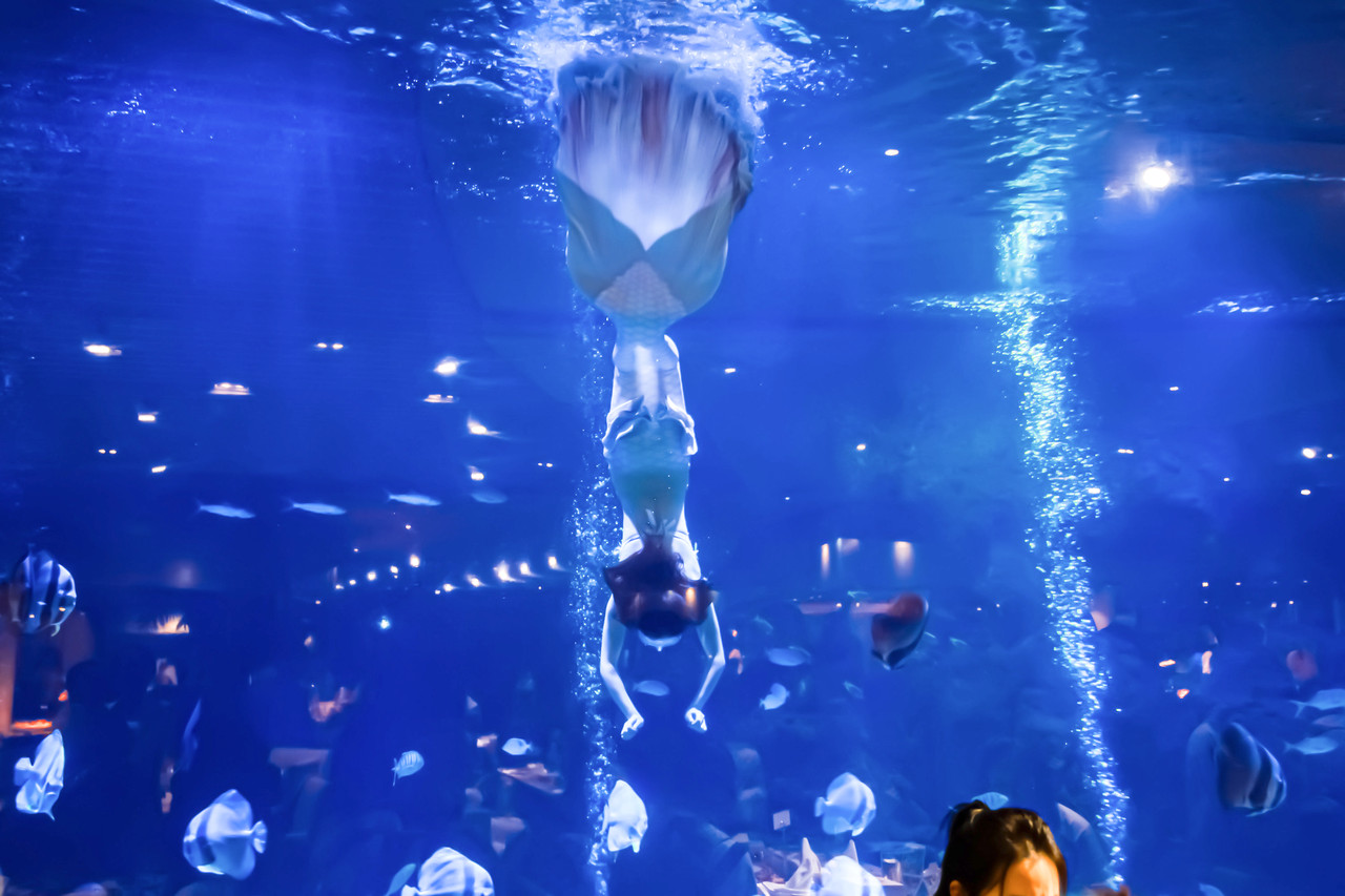 亚龙湾迎宾馆·海洋主题海蓝餐厅 参考图 1